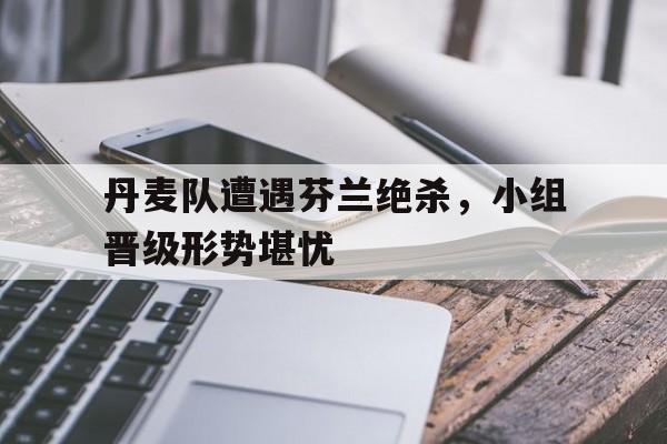 丹麦对芬兰比赛突发事件